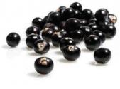 How Acai Berry Fights Cancer 
